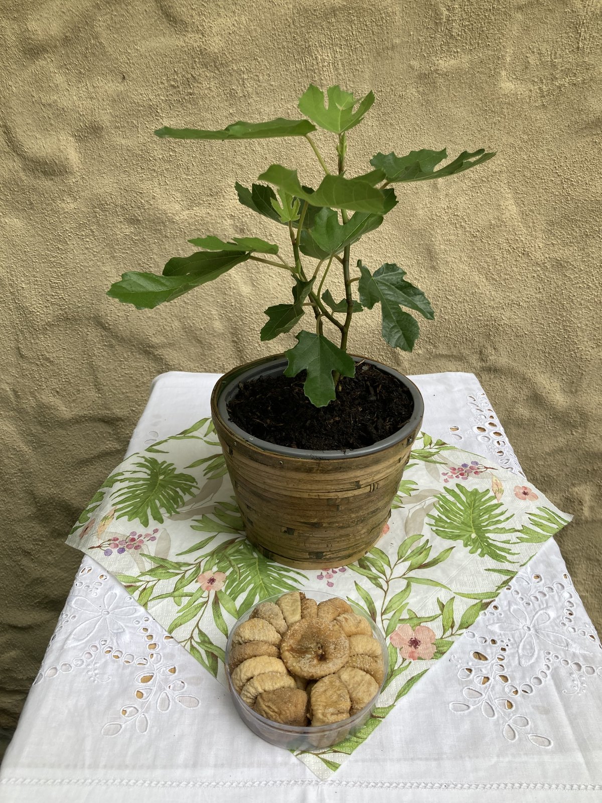 Feigenbaum