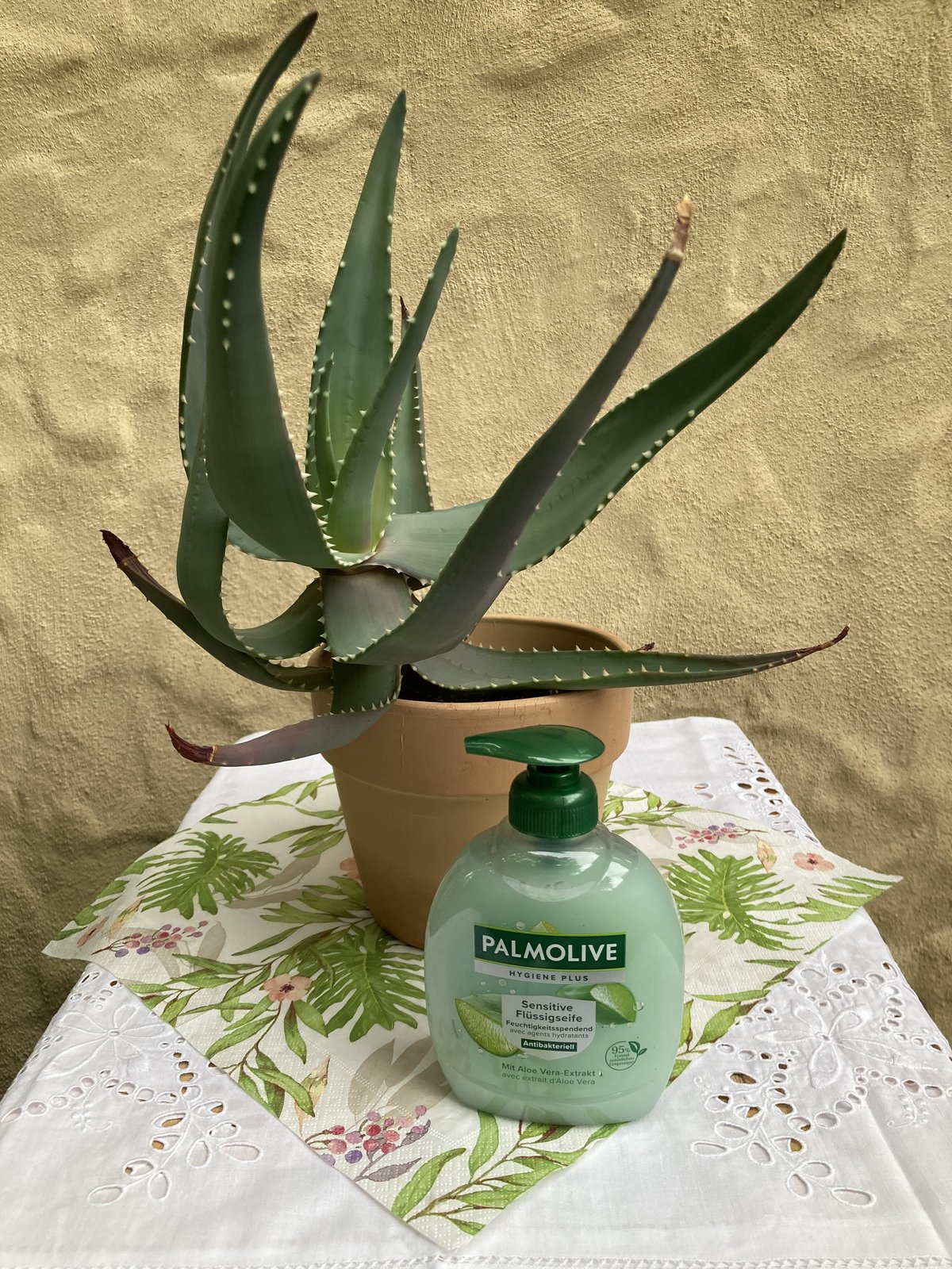 Aloe
